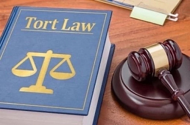 Границы понятия «деликт» обсудили на  заседании кружка по деликтному праву